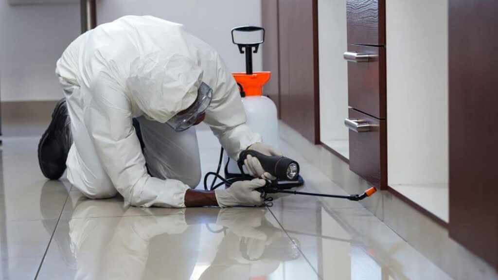 pest control services