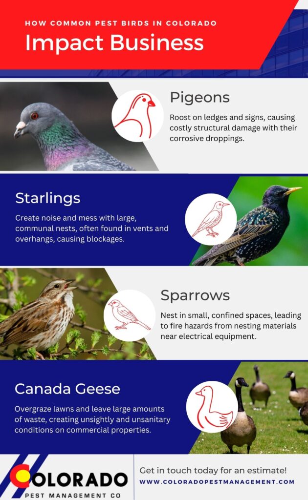 Why Commercial Bird Control is a Smart Investment for Your Business infographic