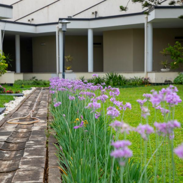 flowers and home