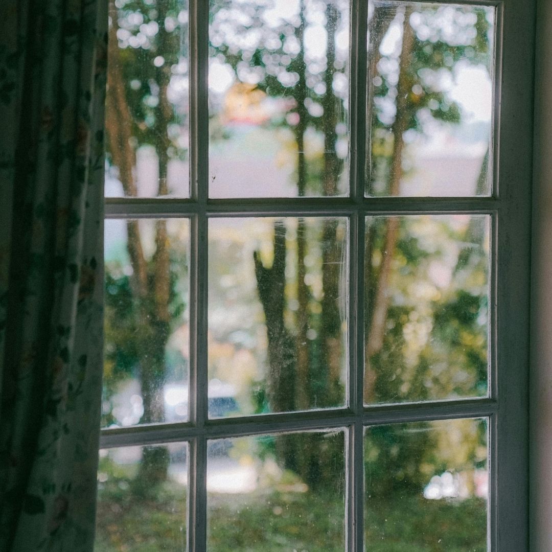 A clear view of the Colorado landscape through the window of a pest-free rental property.
